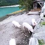 Gerlossteinblick Aschau Im Zillertal