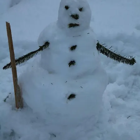 Gerlossteinblick Aschau Im Zillertal
