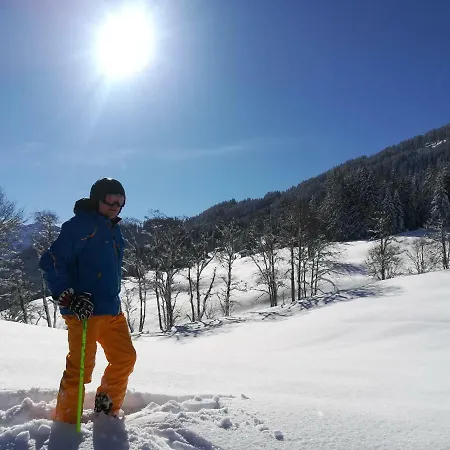 Daire Gerlossteinblick *