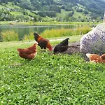 Gerlossteinblick Aschau Im Zillertal