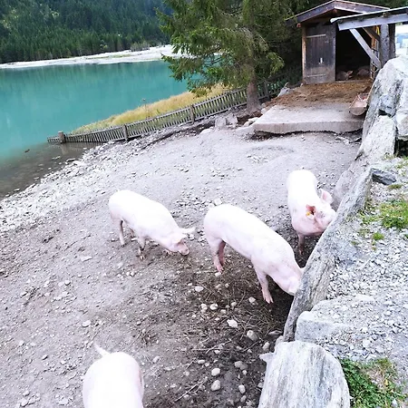 Gerlossteinblick Aschau Im Zillertal