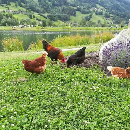 Gerlossteinblick Aschau Im Zillertal