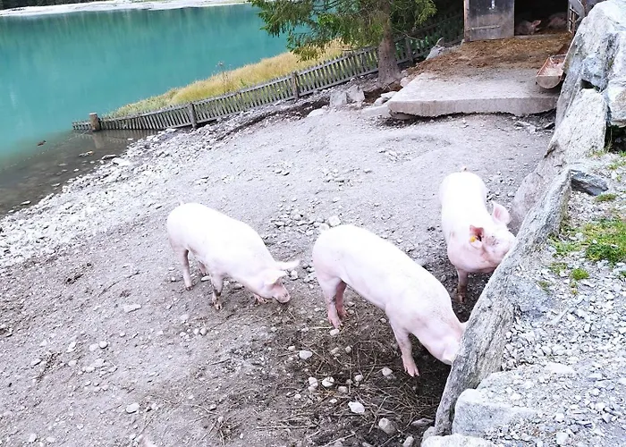 Gerlossteinblick Aschau Im Zillertal