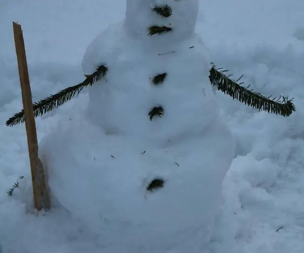 Gerlossteinblick Aschau Im Zillertal