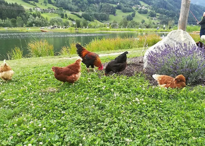 Gerlossteinblick Aschau Im Zillertal
